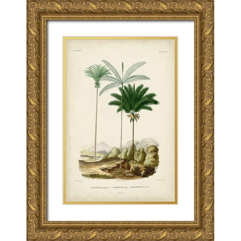 Antique Palm Collection II Gold Ornate Wood Framed Art Print with Double Matting by DOrbigny, M. Charles