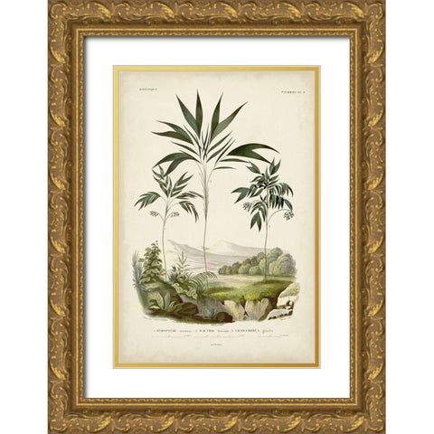Antique Palm Collection III Gold Ornate Wood Framed Art Print with Double Matting by DOrbigny, M. Charles