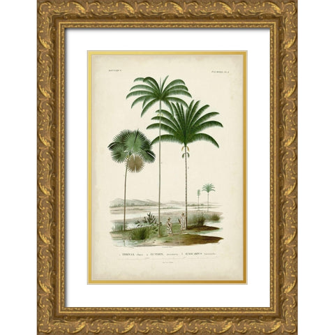 Antique Palm Collection IV Gold Ornate Wood Framed Art Print with Double Matting by DOrbigny, M. Charles
