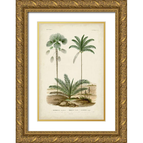 Antique Palm Collection V Gold Ornate Wood Framed Art Print with Double Matting by DOrbigny, M. Charles