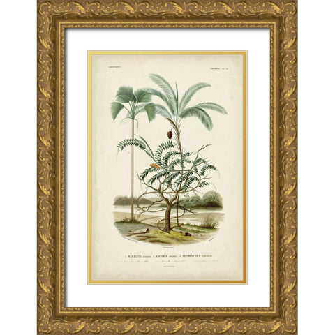 Antique Palm Collection VI Gold Ornate Wood Framed Art Print with Double Matting by DOrbigny, M. Charles