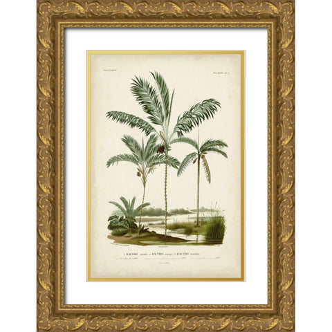 Antique Palm Collection VII Gold Ornate Wood Framed Art Print with Double Matting by DOrbigny, M. Charles
