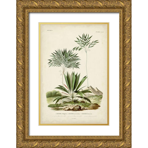 Antique Palm Collection VIII Gold Ornate Wood Framed Art Print with Double Matting by DOrbigny, M. Charles