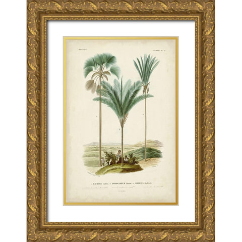 Antique Palm Collection IX Gold Ornate Wood Framed Art Print with Double Matting by DOrbigny, M. Charles