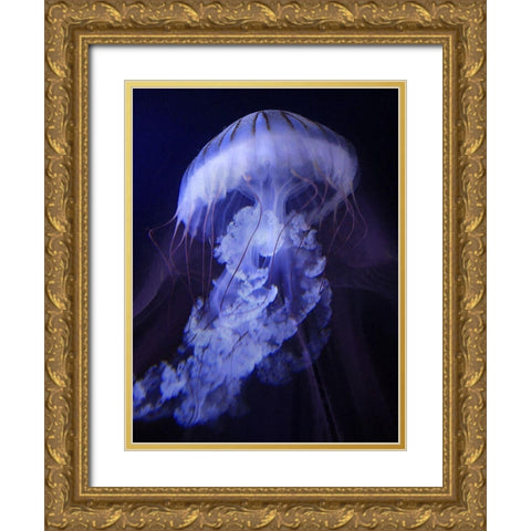 Peri Gelatinous I Gold Ornate Wood Framed Art Print with Double Matting by Hunziker, Steve