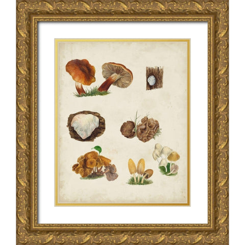 Mushroom Species I Gold Ornate Wood Framed Art Print with Double Matting by Vision Studio
