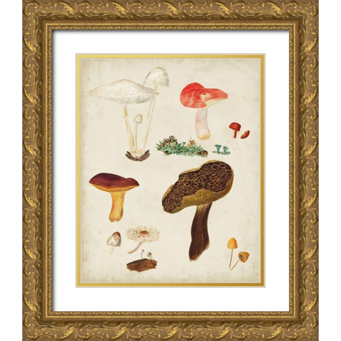 Mushroom Species XI Gold Ornate Wood Framed Art Print with Double Matting by Vision Studio