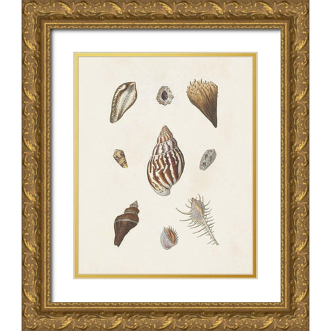 Knorr Shells And Coral IX Gold Ornate Wood Framed Art Print with Double Matting by Knorr