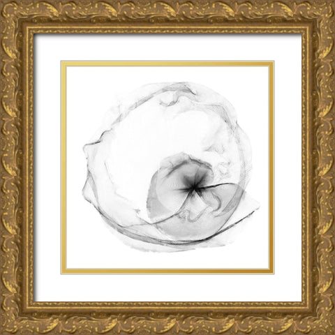 Veiled Illusions II Gold Ornate Wood Framed Art Print with Double Matting by Curinga, Kim