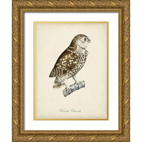 French Owls I Gold Ornate Wood Framed Art Print with Double Matting by de Langlois