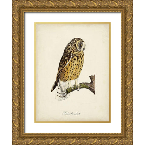 French Owls II Gold Ornate Wood Framed Art Print with Double Matting by de Langlois