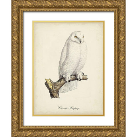 French Owls IV Gold Ornate Wood Framed Art Print with Double Matting by de Langlois