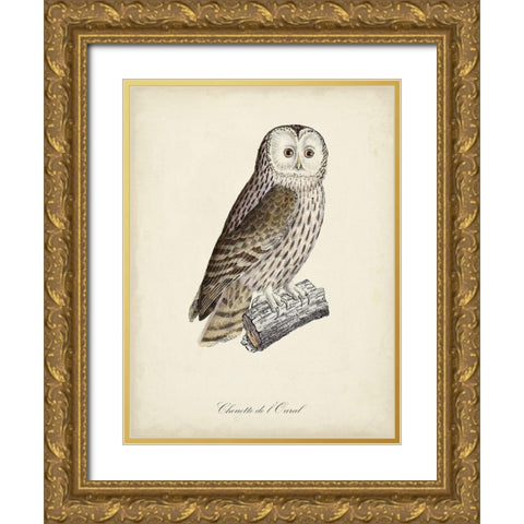 French Owls V Gold Ornate Wood Framed Art Print with Double Matting by de Langlois