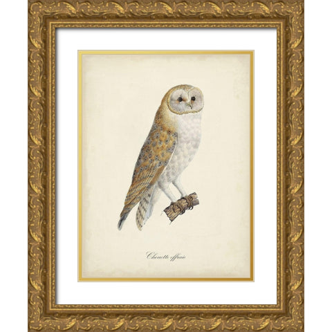 French Owls VI Gold Ornate Wood Framed Art Print with Double Matting by de Langlois