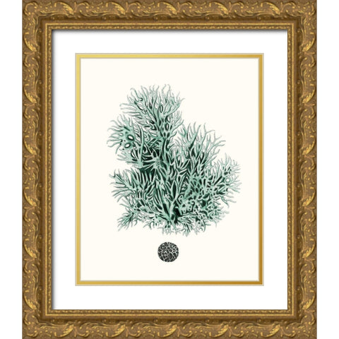 Antique Coastal Coral V Gold Ornate Wood Framed Art Print with Double Matting by Esper, Johann