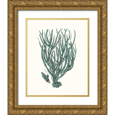 Antique Coastal Coral VIII Gold Ornate Wood Framed Art Print with Double Matting by Esper, Johann