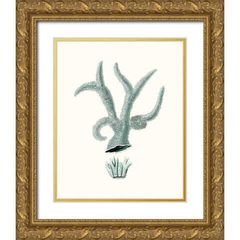 Antique Coastal Coral XII Gold Ornate Wood Framed Art Print with Double Matting by Esper, Johann