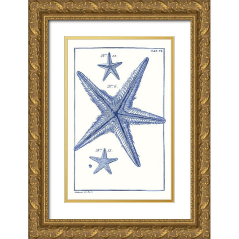 Blue Sea Stars III Gold Ornate Wood Framed Art Print with Double Matting by Vision Studio