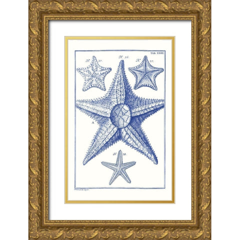 Blue Sea Stars VI Gold Ornate Wood Framed Art Print with Double Matting by Vision Studio