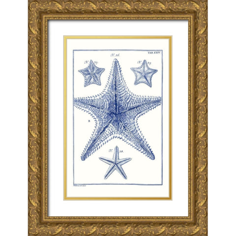 Blue Sea Stars VIII Gold Ornate Wood Framed Art Print with Double Matting by Vision Studio