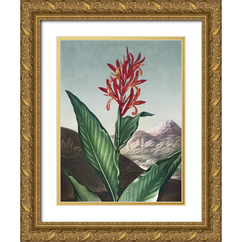 Temple of Flora I Gold Ornate Wood Framed Art Print with Double Matting by Thornton, Dr. Robert J.