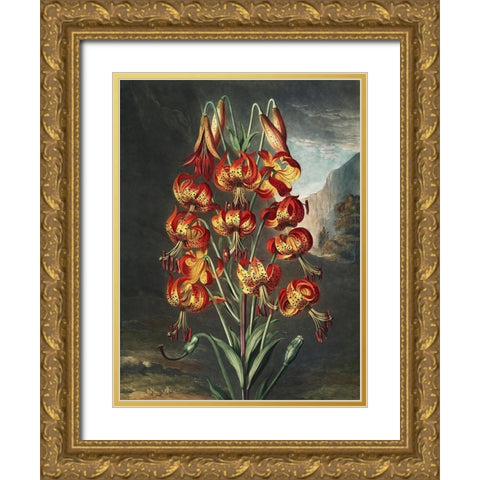 Temple of Flora III Gold Ornate Wood Framed Art Print with Double Matting by Thornton, Dr. Robert J.