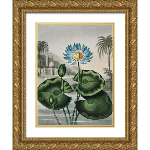 Temple of Flora IX Gold Ornate Wood Framed Art Print with Double Matting by Thornton, Dr. Robert J.