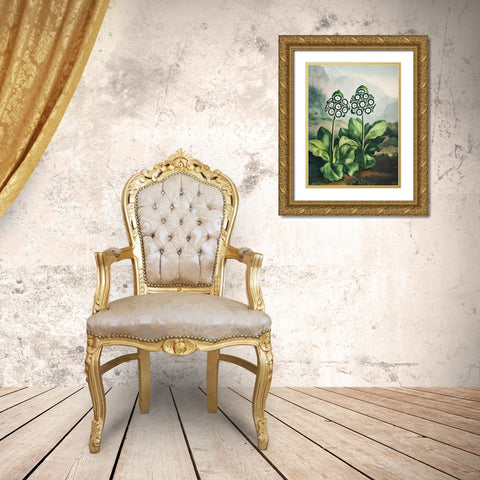 Temple of Flora XI Gold Ornate Wood Framed Art Print with Double Matting by Thornton, Dr. Robert J.