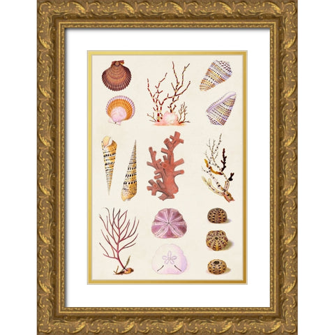 Coral And Shell Collage II Gold Ornate Wood Framed Art Print with Double Matting by Vision Studio