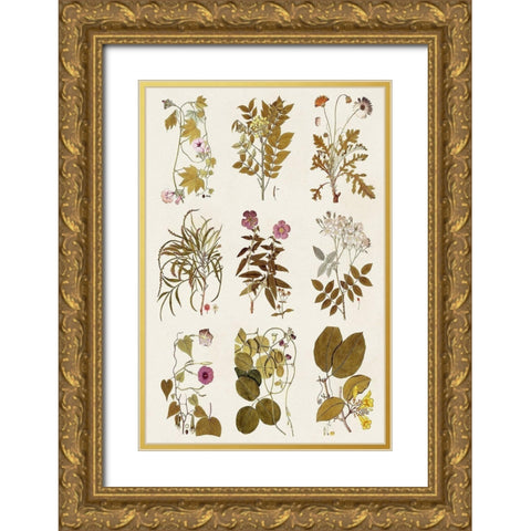 Antique Floral Grid II Gold Ornate Wood Framed Art Print with Double Matting by Vision Studio