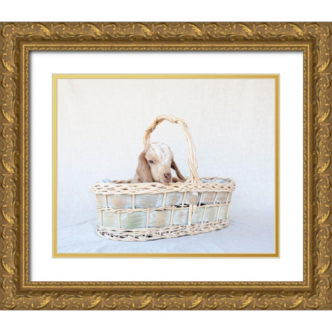Friday in Basket II Gold Ornate Wood Framed Art Print with Double Matting by Soderman, Tania