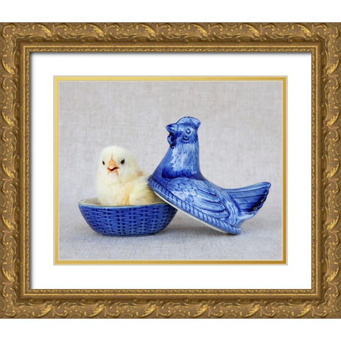 Chick in Blue Hen Gold Ornate Wood Framed Art Print with Double Matting by Soderman, Tania