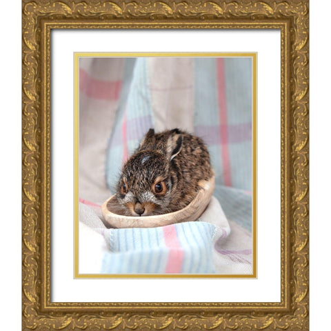 Baby Rabbit II Gold Ornate Wood Framed Art Print with Double Matting by Soderman, Tania