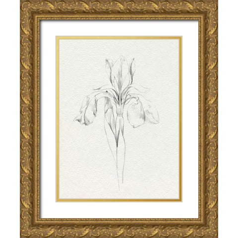 Neutral Iris Sketch I Gold Ornate Wood Framed Art Print with Double Matting by Caroline, Emma