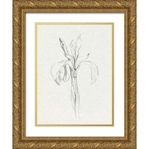 Neutral Iris Sketch II Gold Ornate Wood Framed Art Print with Double Matting by Caroline, Emma
