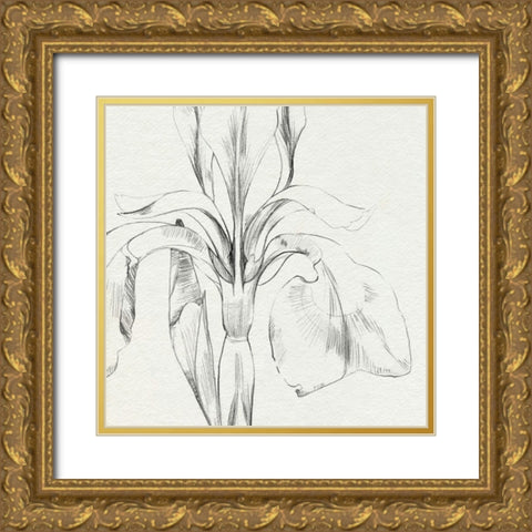 Iris Sketch Okeefe Crop I Gold Ornate Wood Framed Art Print with Double Matting by Caroline, Emma