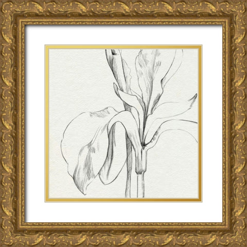 Iris Sketch Okeefe Crop II Gold Ornate Wood Framed Art Print with Double Matting by Caroline, Emma