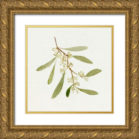 Eucalyptus Collection I Gold Ornate Wood Framed Art Print with Double Matting by Caroline, Emma