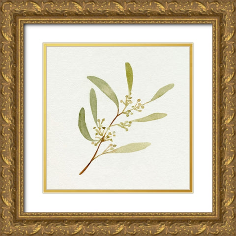 Eucalyptus Collection III Gold Ornate Wood Framed Art Print with Double Matting by Caroline, Emma