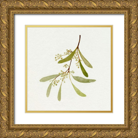 Eucalyptus Collection IV Gold Ornate Wood Framed Art Print with Double Matting by Caroline, Emma