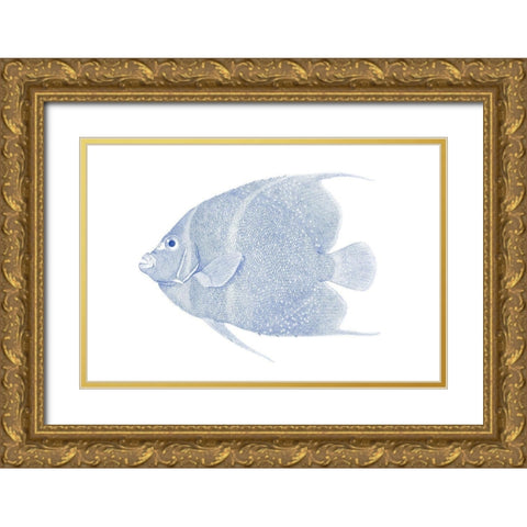 Blue And White Tropical Fish V Gold Ornate Wood Framed Art Print with Double Matting by Vision Studio