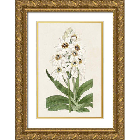 Flore Albo I Gold Ornate Wood Framed Art Print with Double Matting by Ridgeway