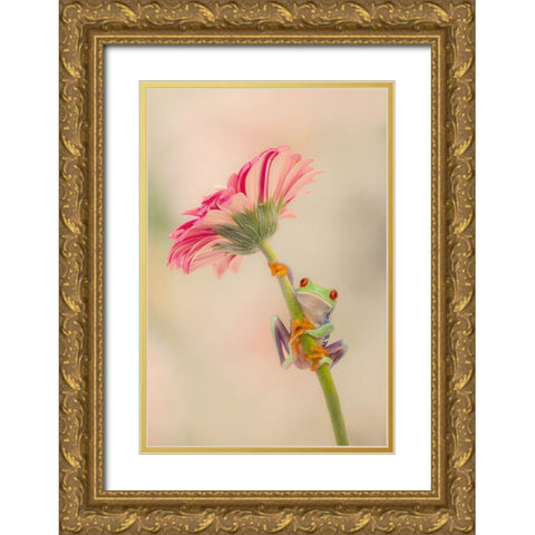 Hanging On I Gold Ornate Wood Framed Art Print with Double Matting by PHBurchett