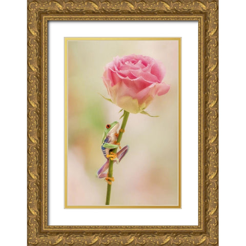 Hanging On II Gold Ornate Wood Framed Art Print with Double Matting by PHBurchett