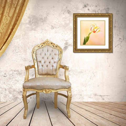 Hanging On III Gold Ornate Wood Framed Art Print with Double Matting by PHBurchett