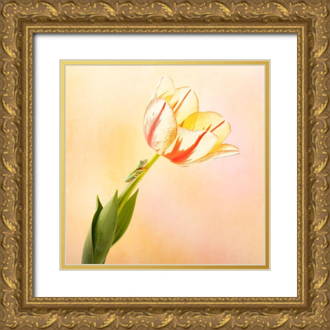 Hanging On III Gold Ornate Wood Framed Art Print with Double Matting by PHBurchett