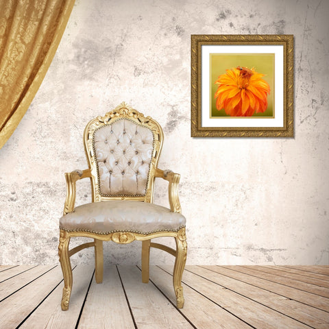 Hanging On IV Gold Ornate Wood Framed Art Print with Double Matting by PHBurchett