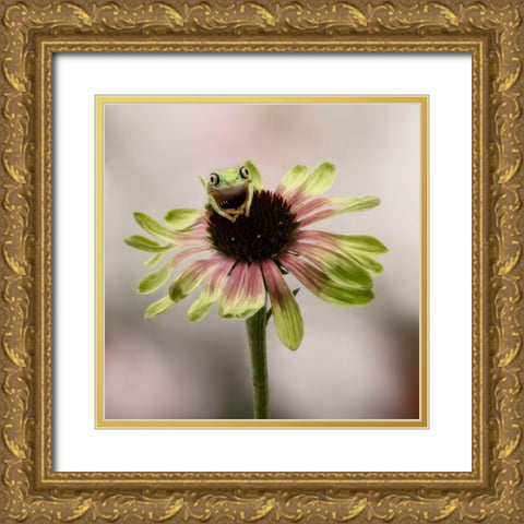 Hanging On V Gold Ornate Wood Framed Art Print with Double Matting by PHBurchett