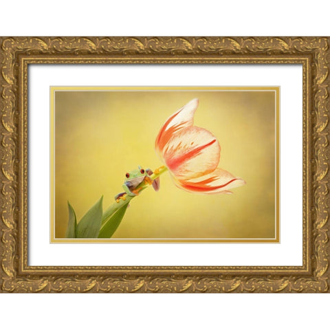 Hanging On VII Gold Ornate Wood Framed Art Print with Double Matting by PHBurchett