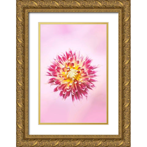 Exotic Flower Burst I Gold Ornate Wood Framed Art Print with Double Matting by PHBurchett